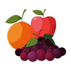 fresh fruits orange apple and grapes