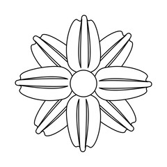 flower tropical spring floral cartoon in black and white