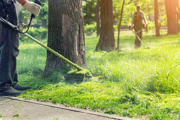 Worker mowing tall grass with electric or petrol lawn trimmer in city park or backyard. Gardening care tools and equipment. Process of lawn trimming with hand mower