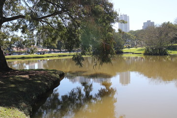 Fototapeta premium lake in the park