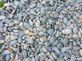 Cobblestone floor