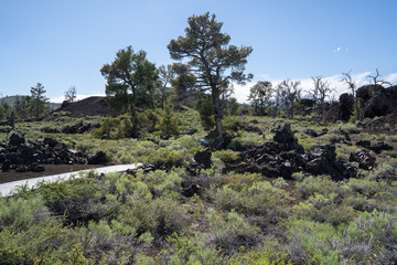 Devils Orchard trail in Craters of the Moon National Monument near Arco, Idaho. Desert sagebrush and volcanic rock surrounded the paved walking path