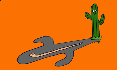 a Cactus&a Snake