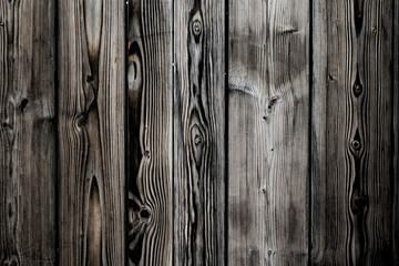 Old grungy and weathered white brown and grey painted wood wall plank texture background marked by long exposure to the elements outdoors with retro vintage look.
