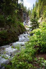 waterfall in forest big cottonwood canyon splash wet spring summer green 