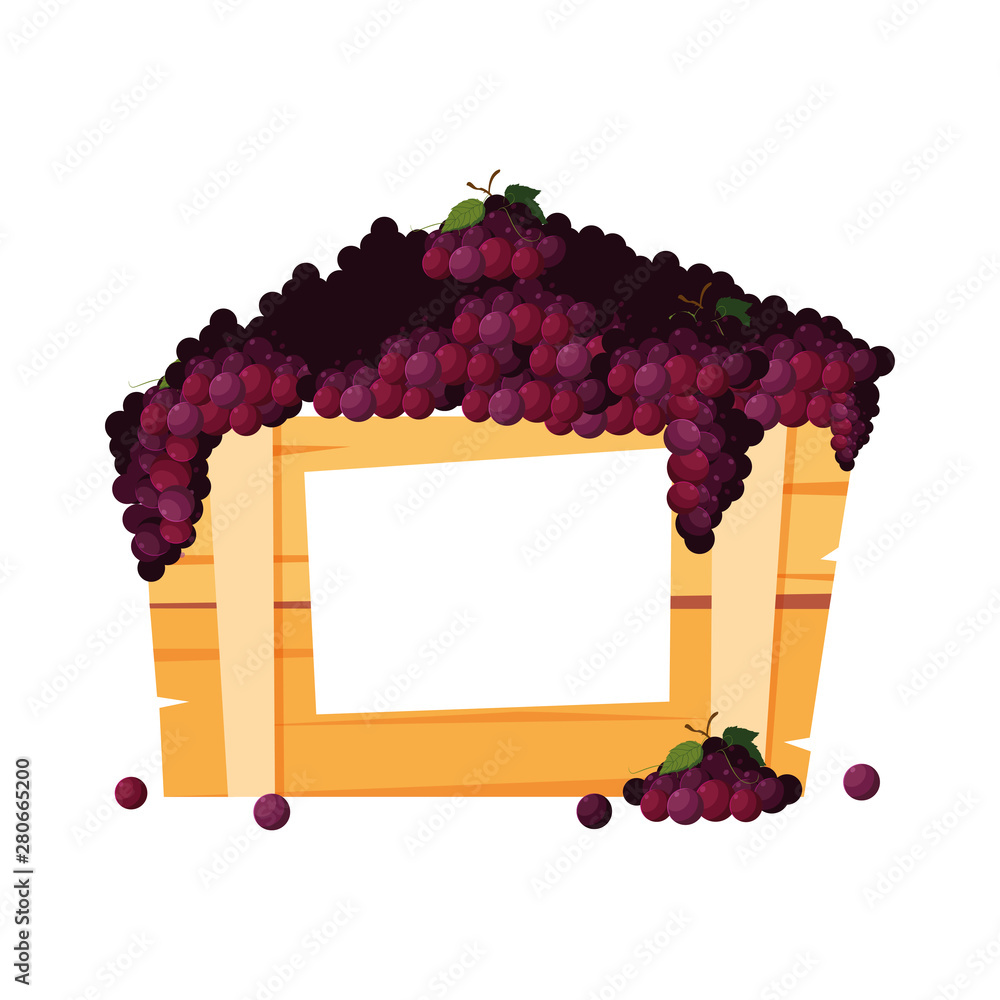 Wall mural bunch of grapes fresh fruits