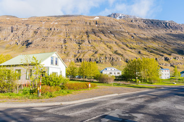 Fototapeta na wymiar Town of Seydisfjordur in east Iceland