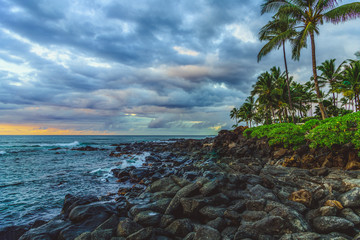 Fototapeta na wymiar Aloha