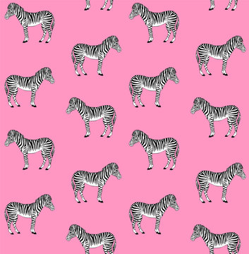 Vector seamless pattern of black ink hand drawn doodle sketch zebra animal standing isolated on pink background