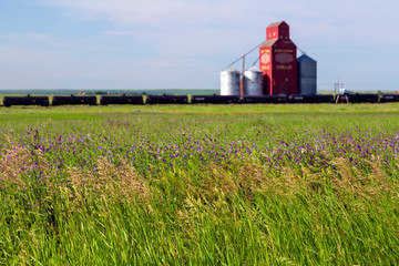 Canadian Prairies Wood Grain Elevator Saskatchewan - obrazy, fototapety, plakaty