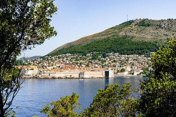 The old town of Dubrovnik framed with trees