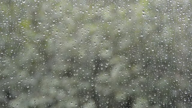 light rain water drops fall and flow outside house glass window on bad summer day weather and green trees blur background, selective focus of closeup full hd stock video footage in real time