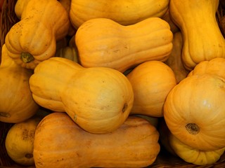 Mature pumpkins of the new harvest in the basket