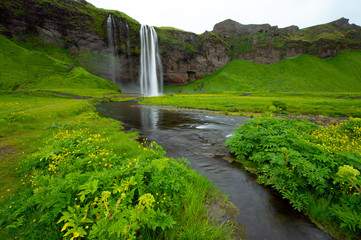 Seljalandsfoss Iceland, streams and flowers in the summer, with bright green meadows.