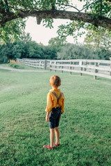 Naklejka premium Little preschool Caucasian boy in yellow shirt and jeans shorts with suspenders standing alone in park country-side village on summer sunset. View from back behind. Fear of future life concept.