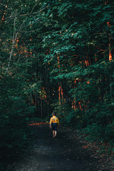 Little preschool Caucasian boy in yellow shirt and jeans shorts with suspenders walking alone in frightful horrible forest with tall trees at sunset. View from back behind. Fear of future life concept