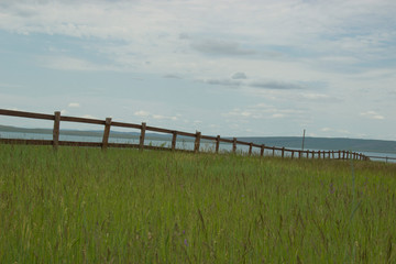 Fototapeta na wymiar wooden fence in the field in daylight