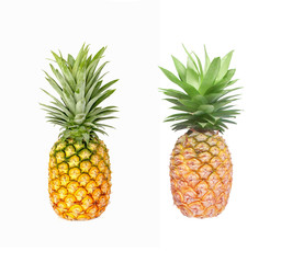 Two Ripe whole pineapple isolated on white