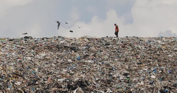 Waste in third world country. Man worker works on huge garbage hill on city dump. Heap of trash, litter, rubbish. Flock of crows fly over landfill. Environmental pollution and recycling problem.