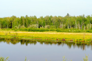 Fototapeta na wymiar Wild Yakut lake in a field in the forest with the reflection of grass on the shore in the taiga in the North of Russia.