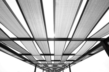 Obraz premium Colorful sunshades