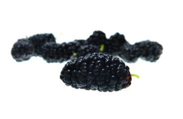 mulberry isolated on white background
