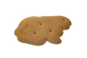 cookie isolated on white background