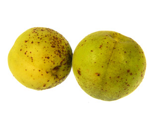 apricot isolated on white background