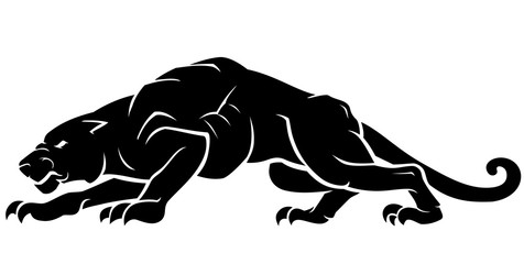 Panther Crouching, Large Predator Cat