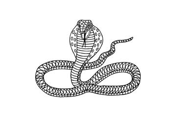 snake cobra graphic patterns vector illustration. coloring