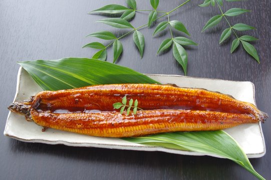 鰻蒲焼き　国産鰻　ウナギ