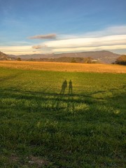 landscape with wheat field and blue sky