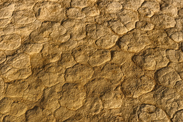 Clay patterns in Deadvlei, Namib-Naukluft National Park, Namibia