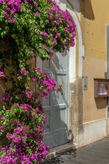 Fototapeta na wymiar Purple flowers as a wall decoration of the street entrance with large blue door in roman architectural style 