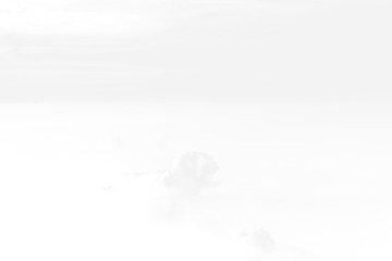 white paper texture background close up