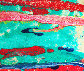 Colorful oil painting multi  colors abstract background and texture.