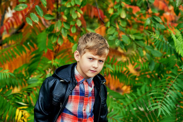 Portrait of a boy on an autumn walk . The child at the bright autumn trees