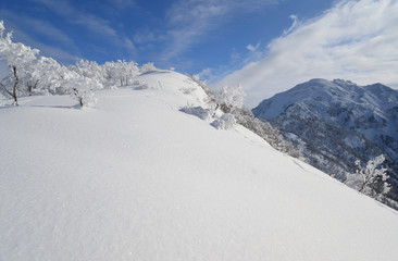 Fototapeta na wymiar 新雪の八海山