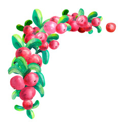 Ripe berry cowberry on white background is isolated. Clipart. Watercolor illustration.
