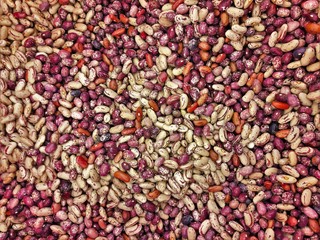 lots of brown beans