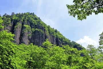 新緑の磐司岩