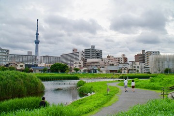 旧中川よりスカイツリーを見上げる