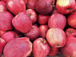 many red apples 