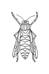 wasp graphic patterns coloring book