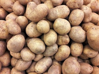 Fototapeta na wymiar many potatoes on the market
