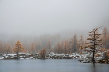 The first snow at the lake