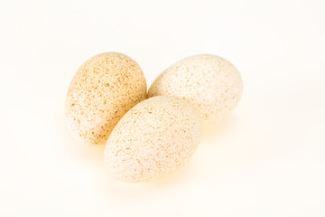 Three big raw turkey egg