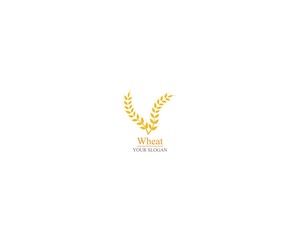 Agriculture wheat Logo Template vector icon design