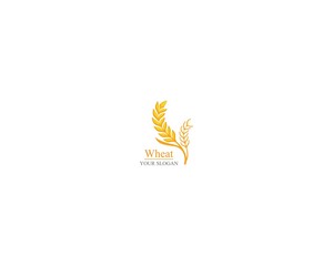 Agriculture wheat Logo Template vector icon design