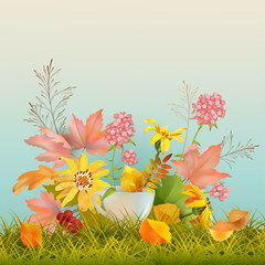 Autumn Fall Background